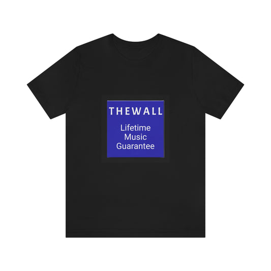 The Wall Lifetime Music Guarantee Defunct T-Shirt Record CD Store